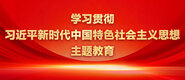 男生鸡巴操女人鸡巴学习贯彻习近平新时代中国特色社会主义思想主题教育_fororder_ad-371X160(2)